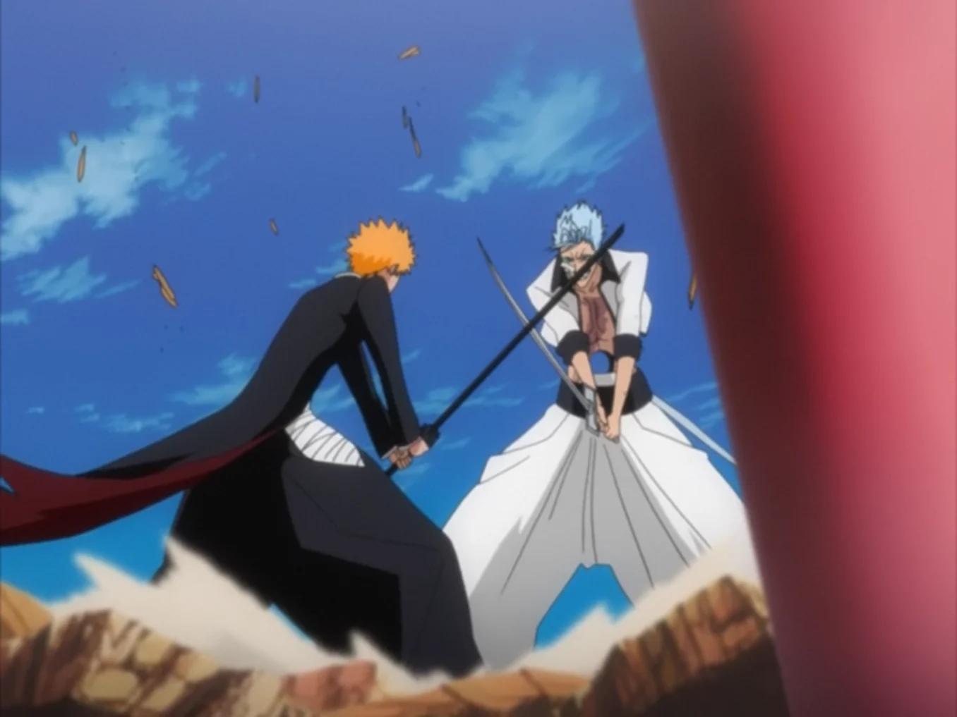 Kurosaki Ichigo — Postać, 14